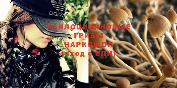 винт Богородицк